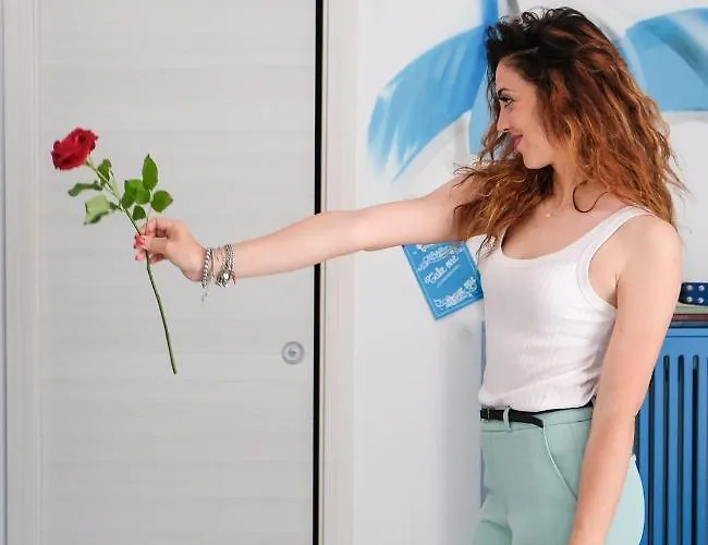 拖乐都站b＆b酒店 4*